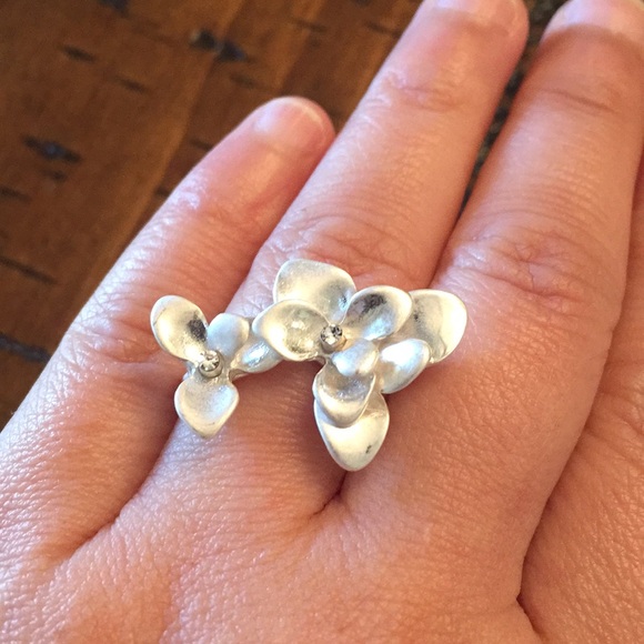 Banana Republic Gorgeous Matte Silver Tone Ring. - Picture 3 of 6